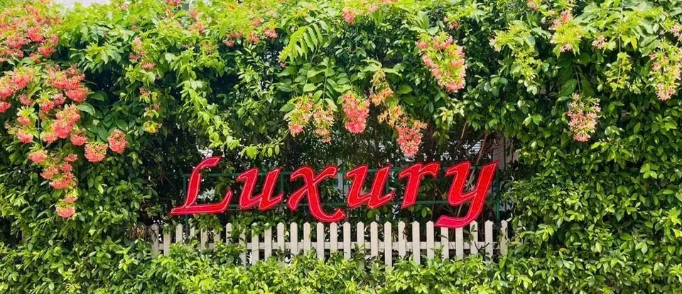 綠色 灌木 上方 裝飾的 紅色 Luxury 英文 招牌