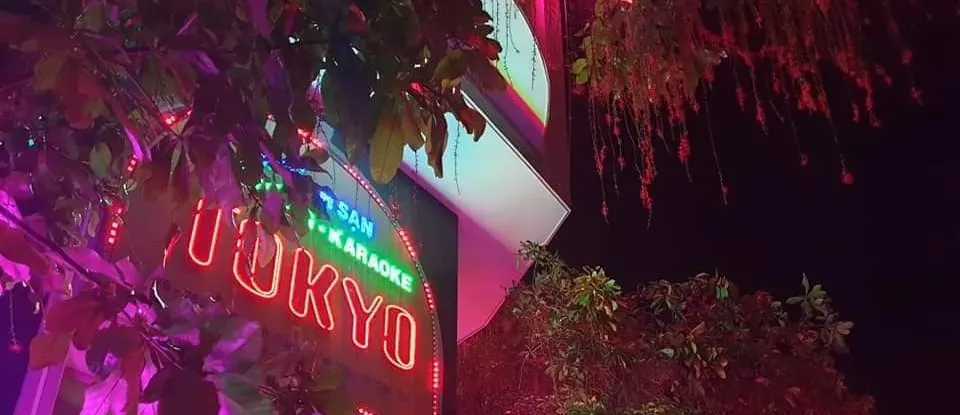 從葉片之間看到的 紅色 Tokyo 飯店 KTV 霓虹 招牌